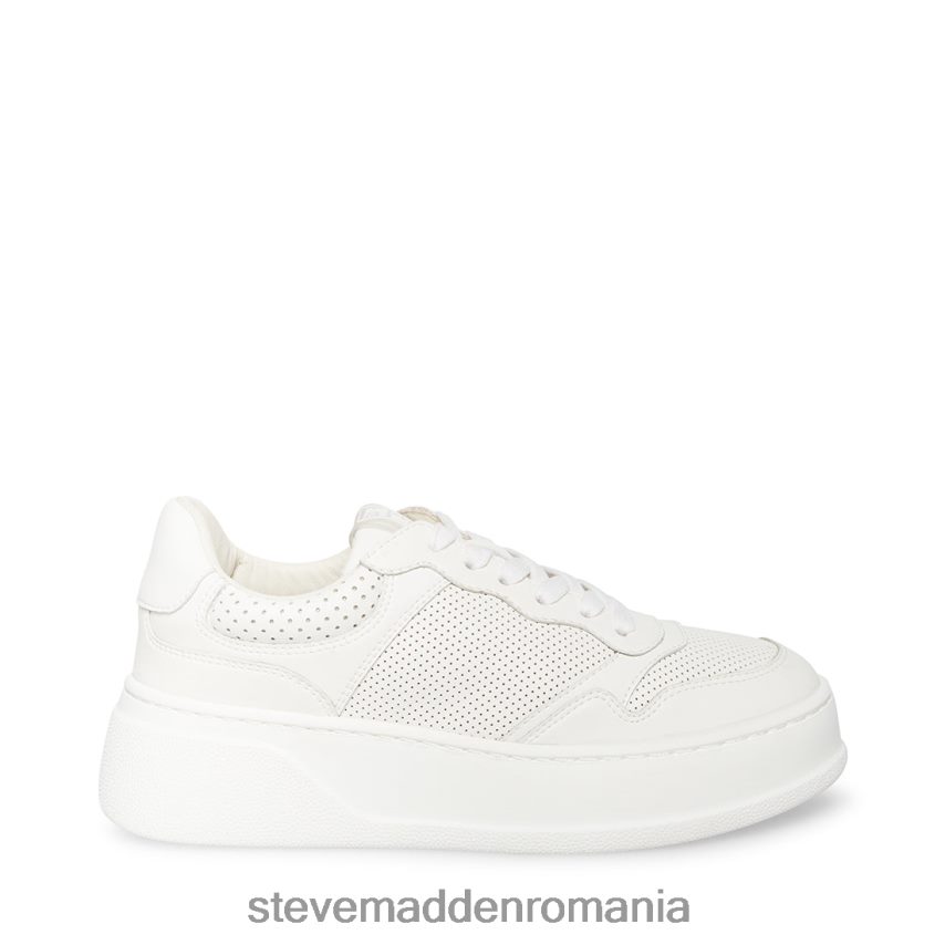 Steve Madden femei daley alb încălţăminte 2L84L0347